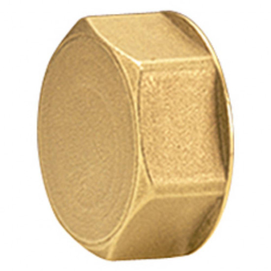 Пробка для коллектора Giacomini 1", R594Y004